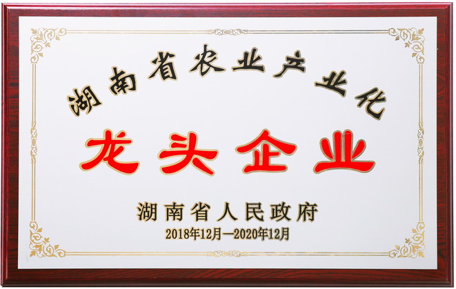 關于聰廚 關于聰廚